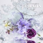 Fleur d’Oranger, mon Infusion Prada