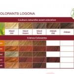 La coloration végétale végétale de Logona : une coloration trèèèèèès naturelle…